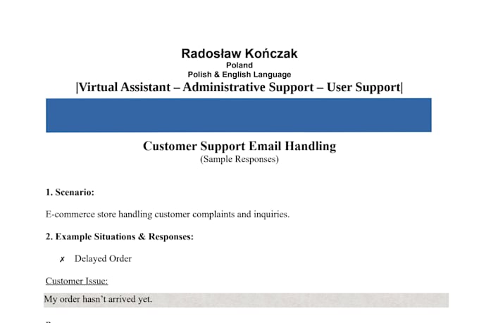 handle your customer support emails professionally